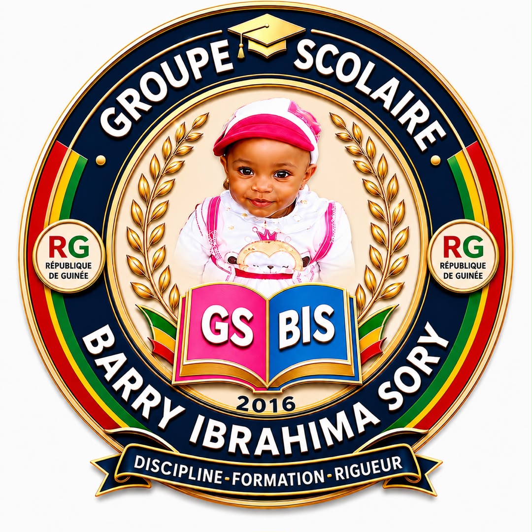 Logo du Groupe Scolaire Barry Ibrahima Sory – GS BIS